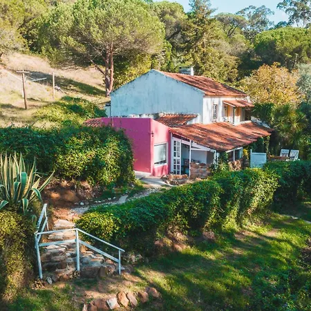 ラグジュアリーテント Nativo Natureza Pink Wood