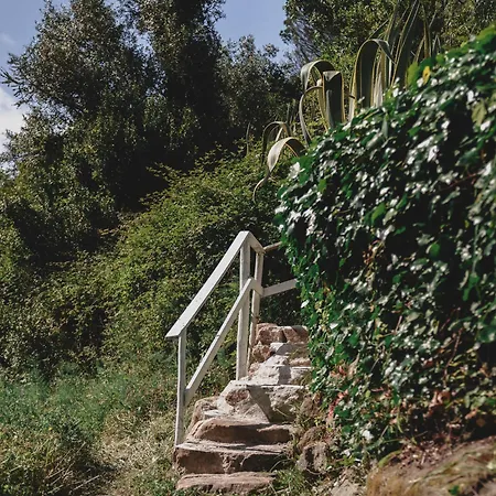 Nativo Natureza Pink Wood * Cela (Leira)