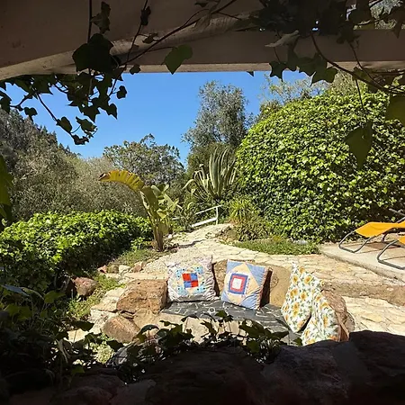 Nativo Natureza Pink Wood ラグジュアリーテント Cela