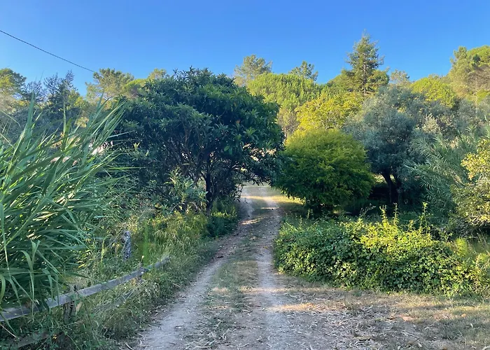 Nativo Natureza Pink Wood